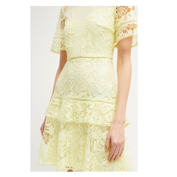 New! FRENCH CONNECTION Lace Ruffle Fit & Flare Mini Dress - Picture 4 of 11